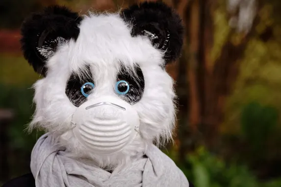 TopBet Kazino Atbalsts